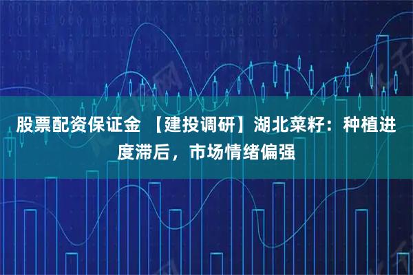 股票配资保证金 【建投调研】湖北菜籽：种植进度滞后，市场情绪偏强