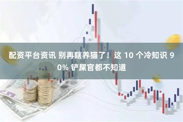 配资平台资讯 别再瞎养猫了！这 10 个冷知识 90% 铲屎官都不知道